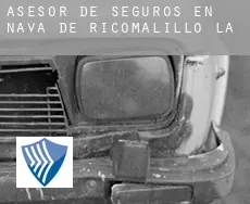 Asesor de seguros en  Nava de Ricomalillo (La)
