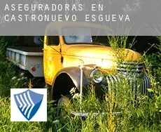 Aseguradoras en  Castronuevo de Esgueva