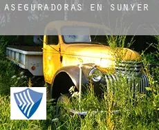 Aseguradoras en  Sunyer