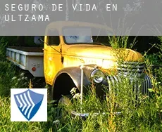 Seguro de vida en  Ultzama