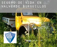 Seguro de vida en  Valverde de Burguillos