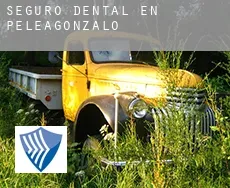 Seguro dental en  Peleagonzalo
