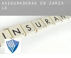 Aseguradoras en  Zarza (La)