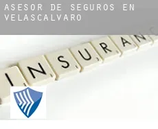Asesor de seguros en  Velascálvaro