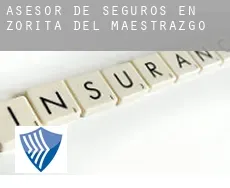 Asesor de seguros en  Zorita del Maestrazgo