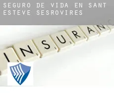 Seguro de vida en  Sant Esteve Sesrovires
