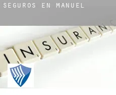Seguros en  Manuel