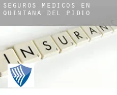 Seguros medicos en  Quintana del Pidio