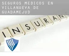 Seguros medicos en  Villanueva de Guadamejud