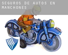 Seguros de autos en  Manchones