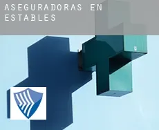 Aseguradoras en Establés