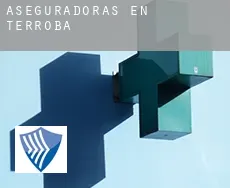 Aseguradoras en  Terroba