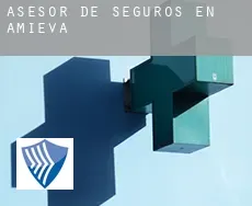 Asesor de seguros en  Amieva