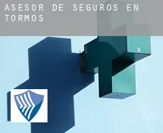 Asesor de seguros en  Tormos