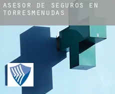 Asesor de seguros en  Torresmenudas
