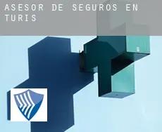 Asesor de seguros en  Turís