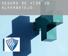 Seguro de vida en  Alfarnatejo