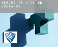 Seguro de vida en  Montanuy