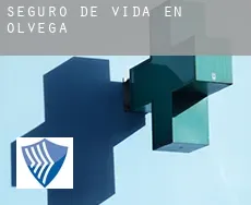 Seguro de vida en  Olvega
