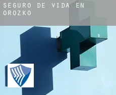 Seguro de vida en  Orozko