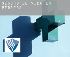 Seguro de vida en  Pedrera
