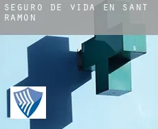 Seguro de vida en  Sant Ramon
