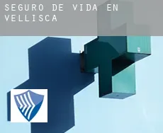Seguro de vida en  Vellisca