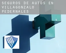 Seguros de autos en  Villagonzalo-Pedernales