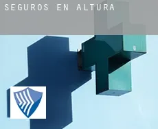 Seguros en  Altura