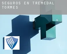 Seguros en  Tremedal de Tormes