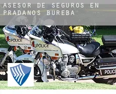 Asesor de seguros en  Prádanos de Bureba