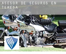 Asesor de seguros en  Teresa