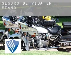 Seguro de vida en  Meaño