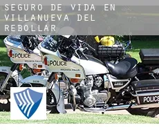 Seguro de vida en  Villanueva del Rebollar