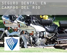 Seguro dental en  Campos del Río