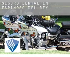 Seguro dental en  Espinoso del Rey