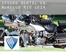 Seguro dental en  Murillo de Río Leza