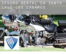 Seguro dental en  Santa Cruz de los Cáñamos
