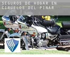 Seguros de hogar en Ciruelos del Pinar
