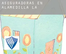 Aseguradoras en  Alamedilla (La)