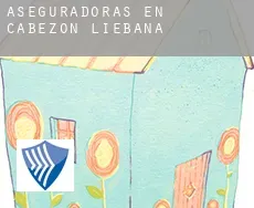 Aseguradoras en  Cabezón de Liébana