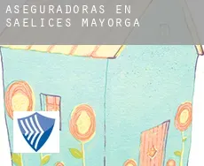 Aseguradoras en  Saelices de Mayorga