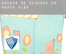 Asesor de seguros en  Anaya de Alba