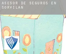 Asesor de seguros en  Sorvilán