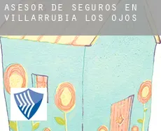 Asesor de seguros en  Villarrubia de los Ojos