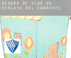 Seguro de vida en  Atalaya del Cañavate