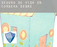 Seguro de vida en Corbera d'Ebre