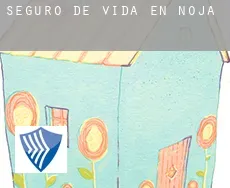 Seguro de vida en Noja
