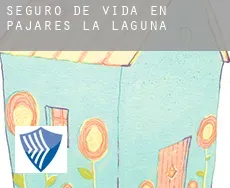 Seguro de vida en  Pajares de la Laguna
