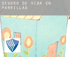 Seguro de vida en  Parrillas